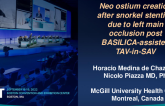 TCT 627: Neo ostium creation after snorkel stenting due to left main occlusion post BASILICA and valve-in-valve TAVR