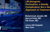 TCT 616: LM Iatrogenic Perforation a deadly complication, but a new approach of treatment