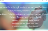 Sustained Limus Release vs Paclitaxel DCB Treatment in Symptomatic Peripheral Artery Disease: The Limus FLOW Investigator-Initiated, Randomized Controlled Trial