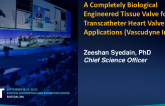 A Completely Biological Engineered Tissue Valve for Transcatheter Heart Valve Applications (Vascudyne)