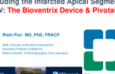 Excluding the Infarcted LV Apical Segment of the Heart: The Bioventrix Device and Pivotal Study
