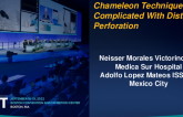 TCT 820: Chameleon Technique Complicated With Distal Perforation