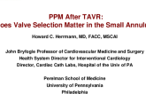Patient Prosthesis Mismatch After TAVR – Does Valve Selection Matter in the Small Annulus?