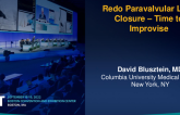 TCT 668: Redo Paravalvular Leak Closure – Time to Improvise