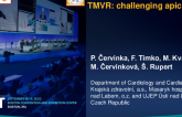 TCT 746: TMVR: Challenging Apical Access Case