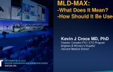 Keynote Lecture: MLD-MAX: What Does It Mean and How Should It Be Used