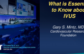Keynote Lecture: What Is Essential to Know About IVUS?