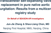 Transcatheter Self-expanding Valve Replacement in Pure Native Aortic Regurgitation: Results from a Multicenter Registry Study
