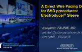 A Direct Wire Pacing Device for SHD Procedures (Electroducer Sleeve)