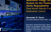 JenaValve Trilogy TAVR System for the Treatment of Aortic Regurgitation: Real-World Results From a Multicenter Cohort