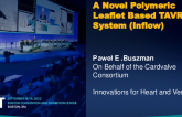 A Novel Polymeric Leaflet Based TAVR System (Inflow)
