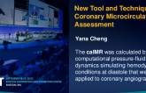 New Tool and Technique in Coronary Microcirculatory Assessment (caIMR)