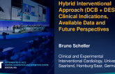Hybrid Interventional Approach (DCB + DES): Clinical Indications, Available Data and Future Perspectives