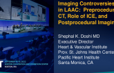 Imaging Controversies in LAAC: Preprocedural CT, Role of ICE, and Postprocedural Imaging