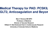 Medical Therapy for PAD: PCSK9, SGLT2, Anticoagulation and Beyond