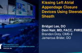 TCT 633: Kissing Left Atrial Appendage Closure Devices for Peri-device leak Using Steerable Sheath