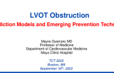 LVOT Obstruction: Prediction Models and Emerging Prevention Techniques