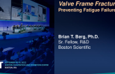 Valve Frame Fractures