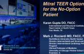 TCT 707: CLEFT CLIPPING: A MITRAL TEER OPTION FOR THE NO OPTION PATIENT