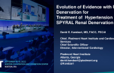 Update on the SPYRAL Clinical Trials Program (Radiofrequency Renal Denervation)