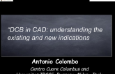 DCB in CAD: understanding the existing and new indications