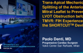 Trans-Apical Mechanical Splitting of the Anterior Mitral Leaflet to Prevent LVOT Obstruction Before TMVR: FIH Experience With the SHORTCUT Device