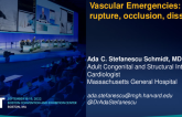 Vascular Emergencies - Nurse/Tech Implications: Rupture, Occlusion, Dissection: Preparedness and Roles