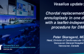 Chordal Replacement and Annuloplasty in One Device With a Leaflet-Independent Procedure for DMR (Vesalius)