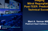 Imaging Assessment of MR Reduction Post-TEER: Predictors of Technical Success
