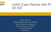 LAAO case reviews with panel discussion