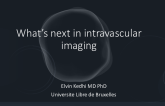 What's Next In Intracoronary Imaging? (Flash Lecture)