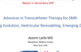 Advances in Transcatheter Therapy for SMR: Imaging Evolution, Ventricular Remodeling, and Emerging Devices