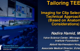 Tailoring TEER: Imaging for Clip Selection and Technical Approaches (Based Upon Anatomic Considerations)