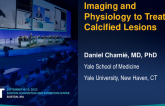 Imaging and Physiology to Treat Calcified Lesions