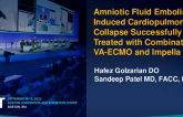 TCT 611: Amniotic Fluid Embolism-Induced Cardiopulmonary Collapse Successfully Treated with Combination VA-ECMO and Impella CP