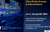 Tibiopedal Access/Intervention