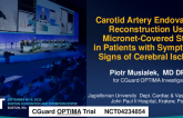 Endovascular Sequestration of High-Risk Carotid Lesions Using the MicroNET-Covered Embolic Prevention Stent in Consecutive Patients With Symptoms or Signs of Carotid Stenosis-Related Cerebral Injury