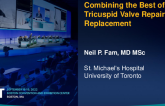 Combining the Best of Tricuspid Valve Repair & Replacement (CroiValve)
