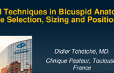 TAVR Techniques in Bicuspid Anatomy – Valve Selection, Sizing, and Positioning