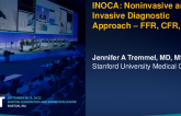 INOCA: Noninvasive vs  Invasive Diagnostic Approach – FFR, CFR, IMR