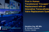 First-in-Human Transfemoral Tricuspid Valve Replacement With an Innovative Transcatheter Heart Valve Replacement System (TriCares TOPAZ)