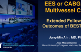 Everolimus-Eluting Stents or Bypass Surgery for Mutivessel Coronary Artery Disease: 10-Year Outcomes of Multicenter Randomized Controlled BEST Trial