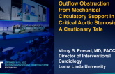 TCT 819: Outflow Obstruction From Mechanical Circulatory Support in Critical Aortic Stenosis – A Cautionary Tale