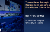 Transcatheter Tricuspid Valve Replacement: Lessons Learned from Recent Clinical Trials