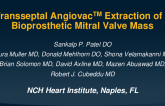 TCT 631: Transseptal AngiovacTM Extraction of a Bioprosthetic Mitral Valve Vegetation