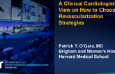 A Clinical Cardiologist’s View on How to Choose Revascularization Strategies