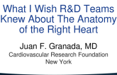 What I Wish Engineers Knew About the Anatomy of the Right Heart