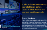 TCT 665: Endocardial radiofrequency septal ablation before TAVI:  A novel approach to prevent suicide ventricle