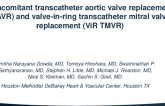 TCT 791: Concomitant transcatheter aortic valve replacement (TAVR) and transcatheter mitral valve-in-ring (TMViR) procedure with transfemoral approach