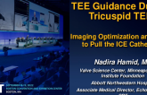 TEE Guidance During T-TEER: Imaging Optimization and When to Pull the ICE Catheter!
